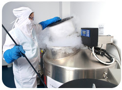 premiera la biogenis