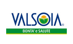 logo valsoia