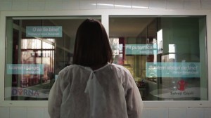 salvati copii si dorna 1