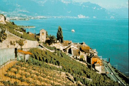 Geneva, destinatie gastronomica recomandata de TAROM