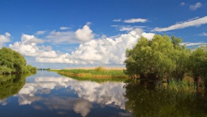 Oferta speciala pentru seniori