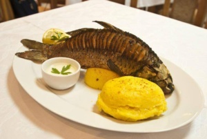 Oferta speciala pentru seniori