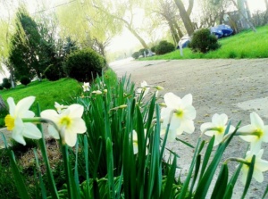 Oferta speciala pentru seniori