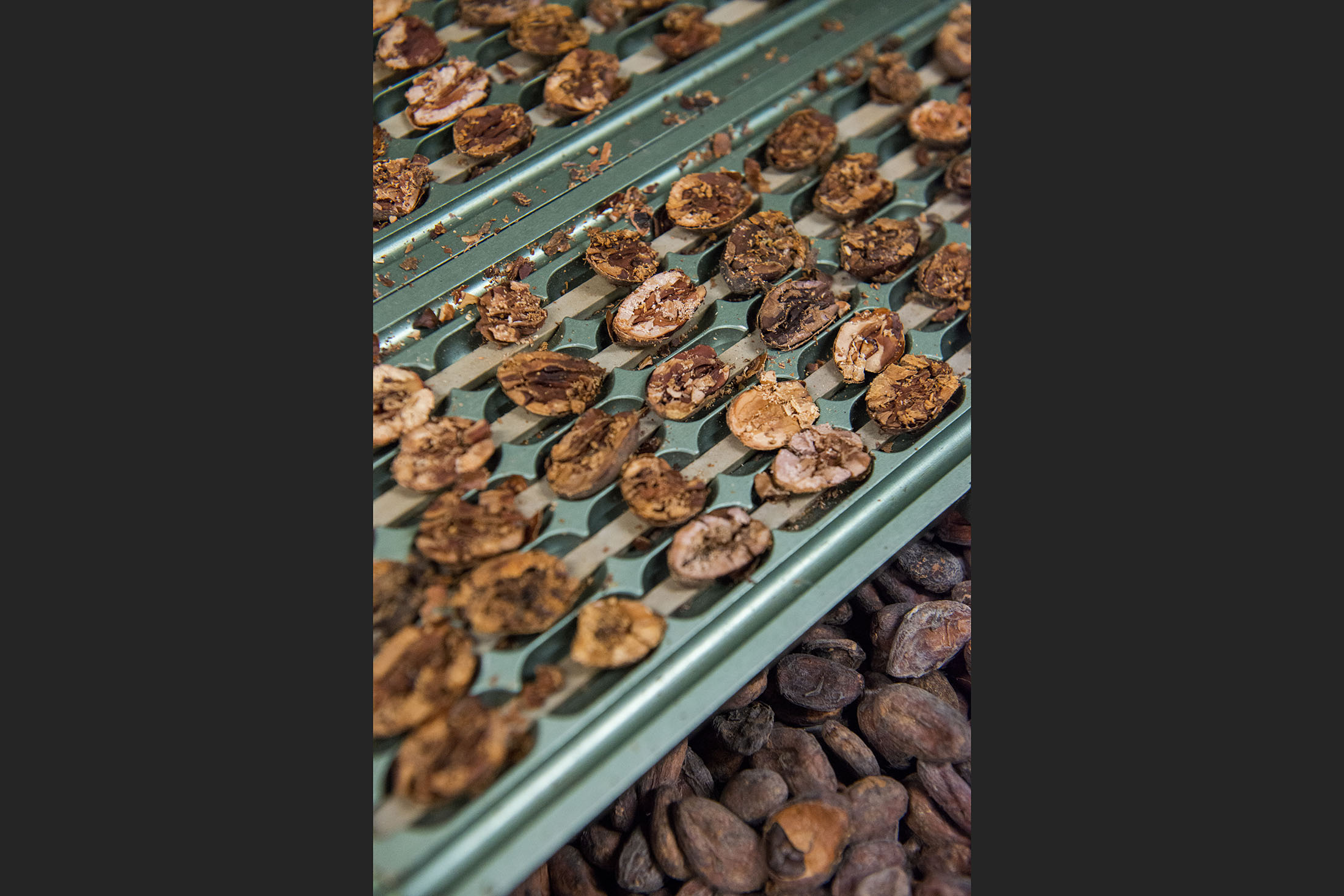 Cea mai buna ciocolata din lume se face in Italia, Toscana