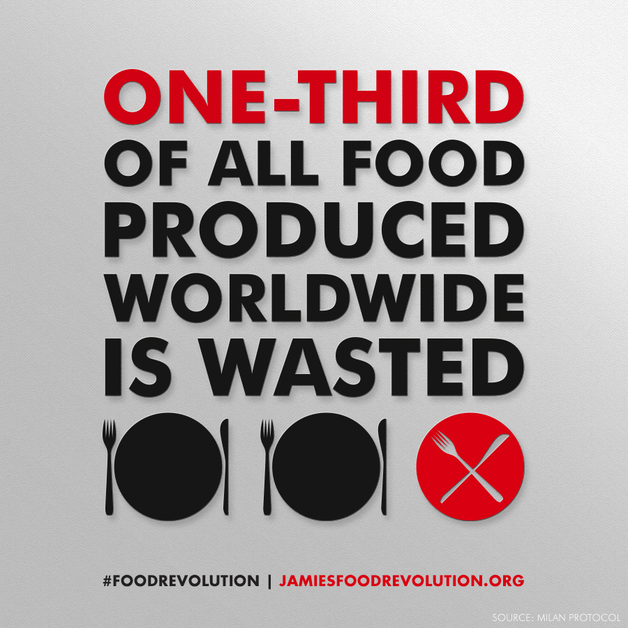Food Revolution Day 2016, editia a 5 a
