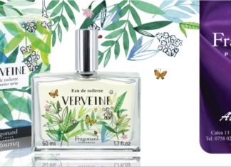 Fragonard_Verveine
