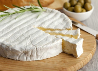 branza brie