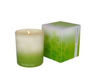 green fig candle main