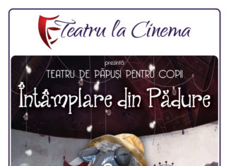 Intamplare din Padure