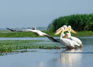 Delta Dunarii, destinatia ideala pentru un Paste special