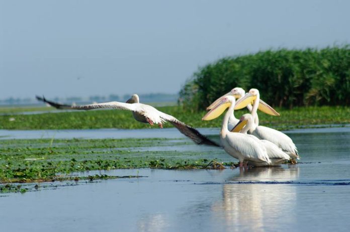 Delta Dunarii, destinatia ideala pentru un Paste special