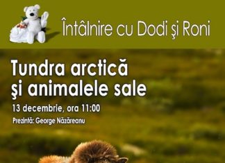 Intalnire cu Dodi si Roni: Tundra arctica si animalele sale