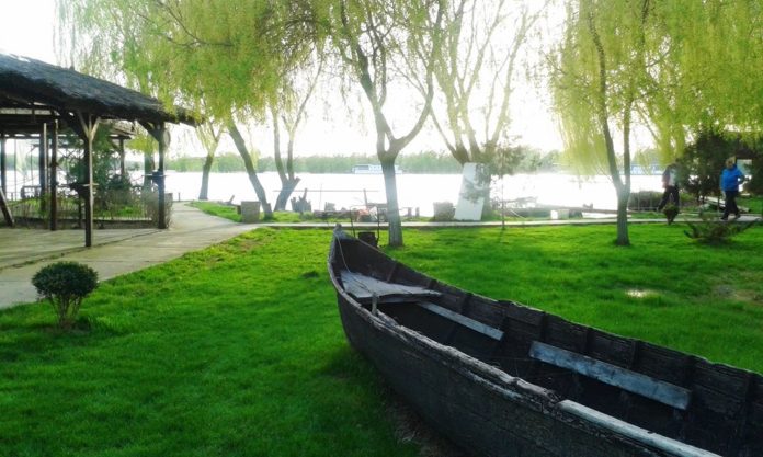 Oferta speciala pentru seniori