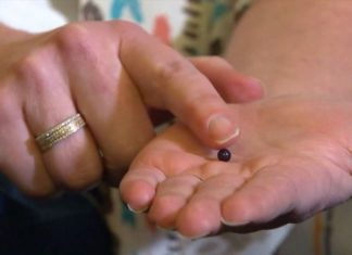 O americanca a gasit in mancare o perla naturala violet, extrem de rara