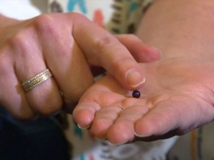 O americanca a gasit in mancare o perla naturala violet, extrem de rara