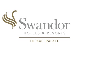logo swandor