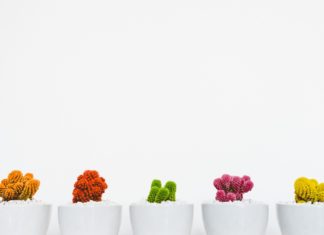minimalism