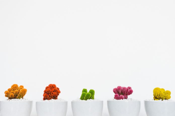 minimalism minimalism