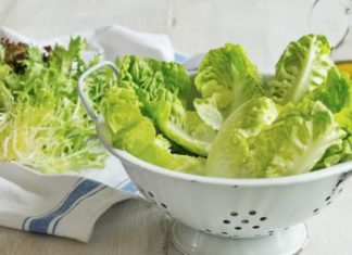 Salata “iarba filozofilor”