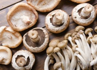 Sfaturi practice pentru ciuperci