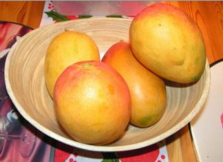 Mango, regele fructelor